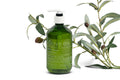 Olive Oil Skincare Hand and Body Wash - Citrus Bloom 500ml