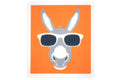 RetroKitchen Biodegradable Sponge Dish Cloth - Donkey