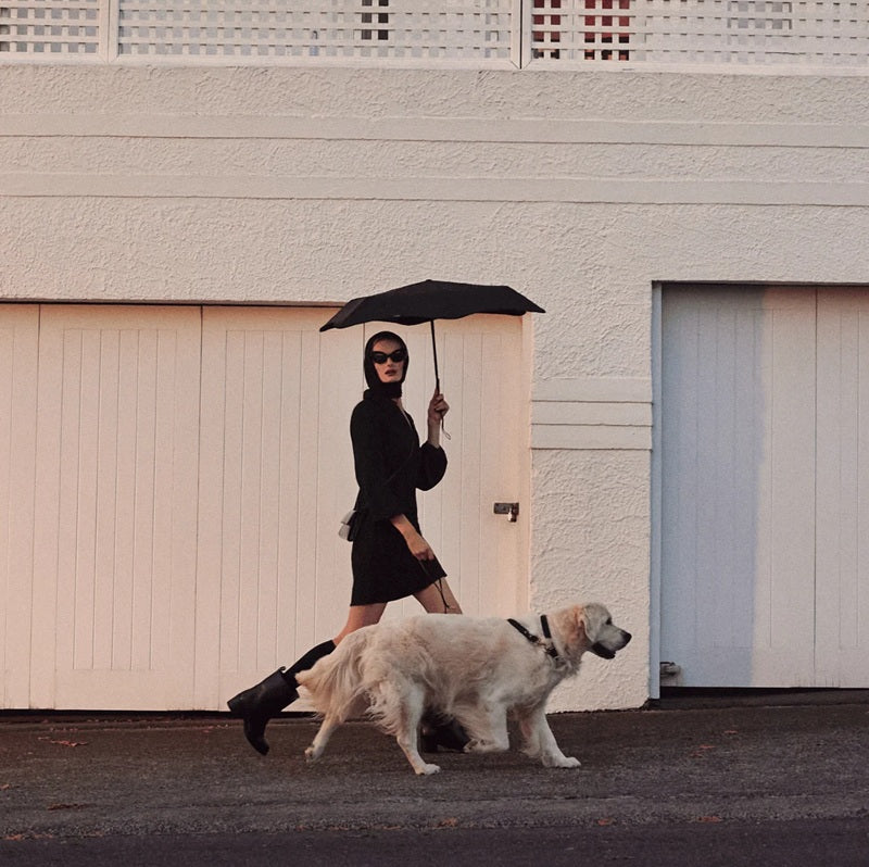 BLUNT Umbrella - Neo - Ink Black