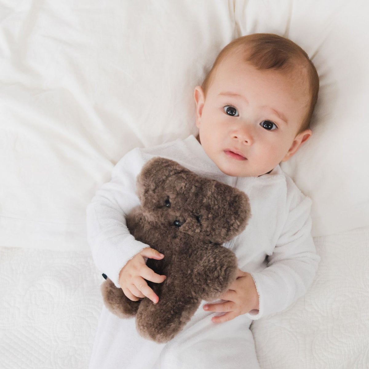 FLATOUTbear Baby - Chocolate