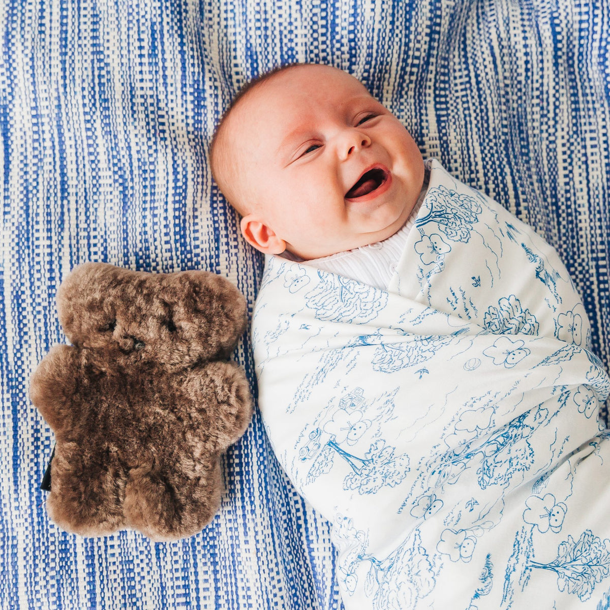 FLATOUTbear Baby - Chocolate