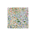 Paper Napkins Cocktail Size - Pack of 20 - Rantaniitty Green